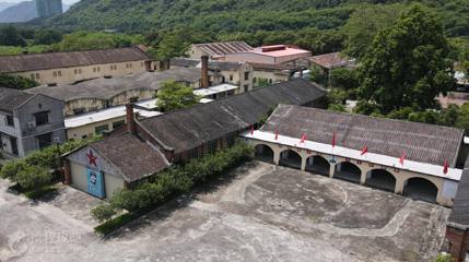 红旗茶厂第 5 张图片