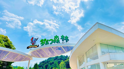 云顶水乡旅游度假区第 11 张图片