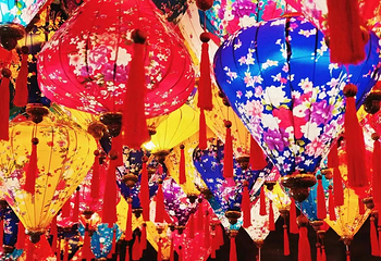 蔚然花海第 169 张图片