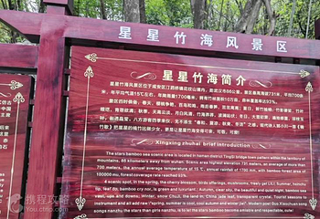 星星竹海第 2 张图片