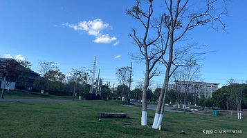 弥勒市甸溪河湿地公园