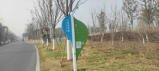 骆岗中央公园第 9 张图片