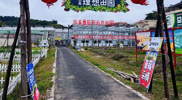 乐禾番茄农业产业园