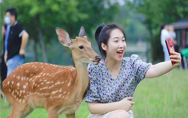 长生鹿苑第 1 张图片