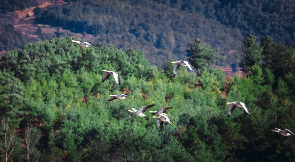 明湖国家湿地公园