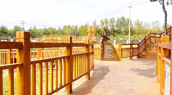 日照森林公园麋鹿园