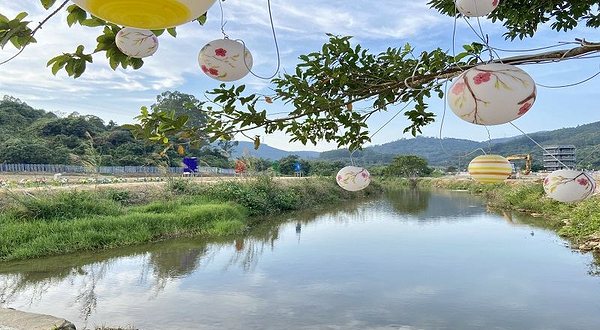 冷杉秋长花海影视基地