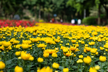 南宁市花卉公园第 8 张图片