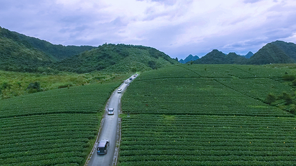 积庆里红茶谷第 52 张图片
