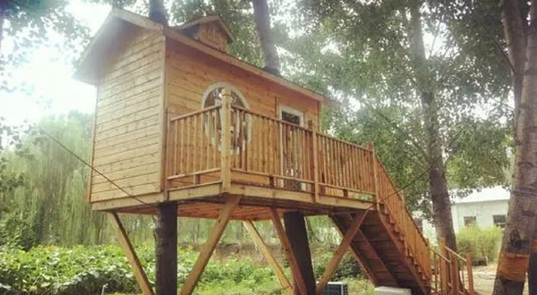 壹零壹森林公学