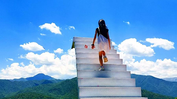 康乐白桦林森林公园