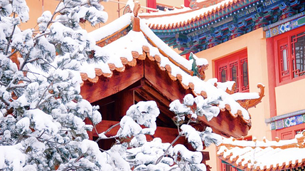圆照寺第 1 张图片