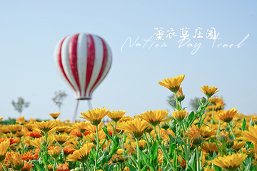 普罗旺斯薰衣草庄园第 17 张图片