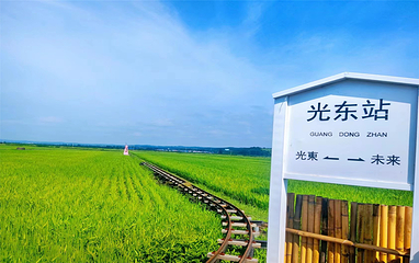 光东村第 23 张图片