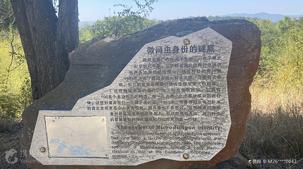 帽天山风景区-澄江动物化石群第 2 张图片