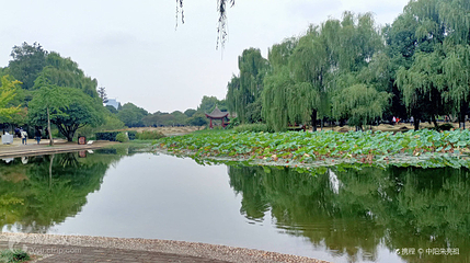 橘子洲景区-桂园第 6 张图片