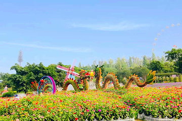 音乐百花谷第 50 张图片