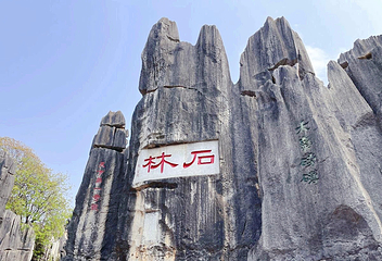 石林风景区第 243 张图片