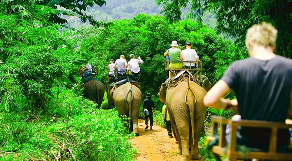 Nosey Parker's  Elephant Camp丛林骑大象