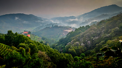 德宏仙佛洞旅游景区第 45 张图片