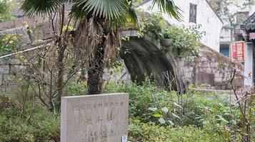 枫泾古镇-致和桥