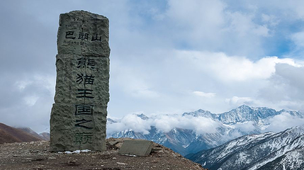 巴朗山熊猫王国之巅第 1 张图片