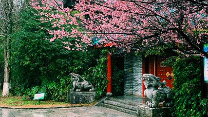 虞山公园第 18 张图片