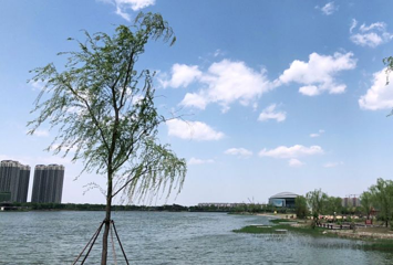 滨城区北海公园第 1 张图片