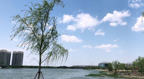 滨城区北海公园