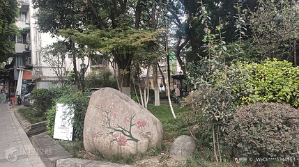 梅园第 2 张图片