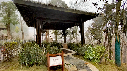 南山天沐温泉第 7 张图片