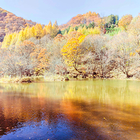 筐子沟生态风景区