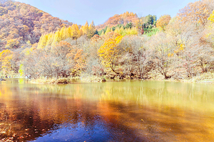 筐子沟生态风景区