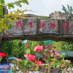 合肥野生动物园