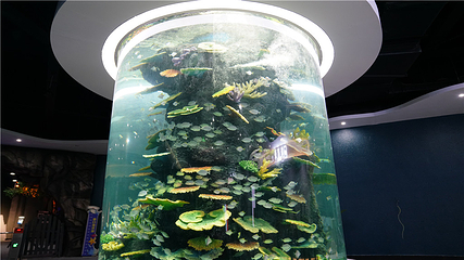 周口海洋馆第 9 张图片