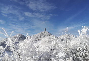 巴山大峡谷第 52 张图片
