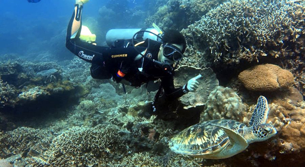 双月湾Nelson 潜水俱乐部