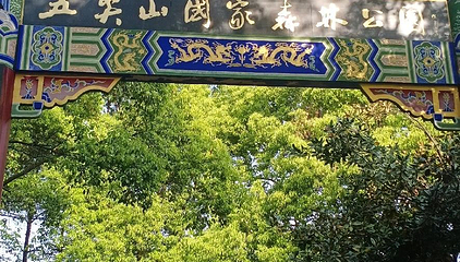 五尖山国家森林公园第 1 张图片