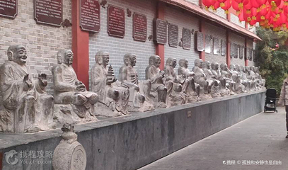 漯河森林公园第 2 张图片