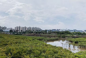 中越青年友谊林