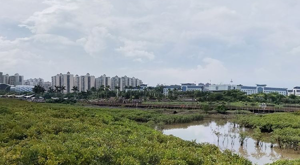 中越青年友谊林