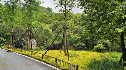 羡山植物园第 1 张图片