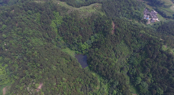 容县雅秀峡景区