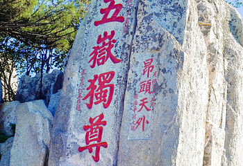 泰山风景区第 76 张图片