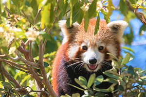 西姆比欧野生动物园