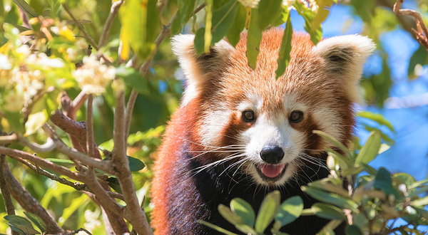 西姆比欧野生动物园