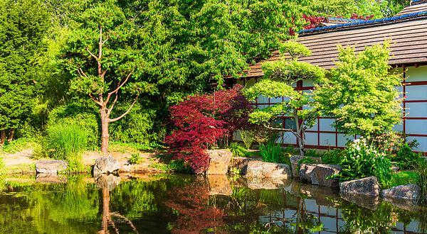 凡尔赛岛日式花园