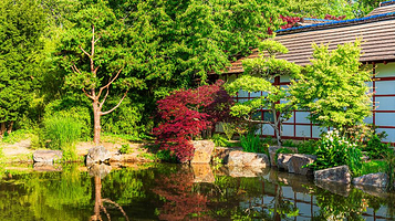 凡尔赛岛日式花园