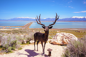 羚羊岛州立公园