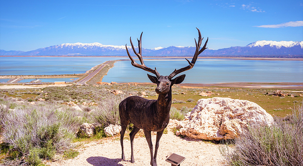 羚羊岛州立公园